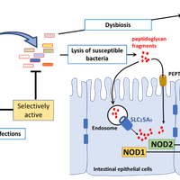 Drug development and new therapies