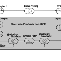 Two-field NMR spectroscopy