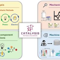 Catalysis, Mechanisms and Methods - CM2