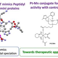 Bio-active metal complexes and catalysis
