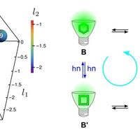 Photoactive probes and reactivity for highly selective analyses and imaging